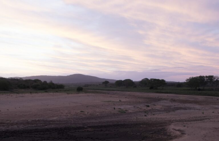 Droog landschap bij zonsondergang met glooiende heuvels in Imfolozi