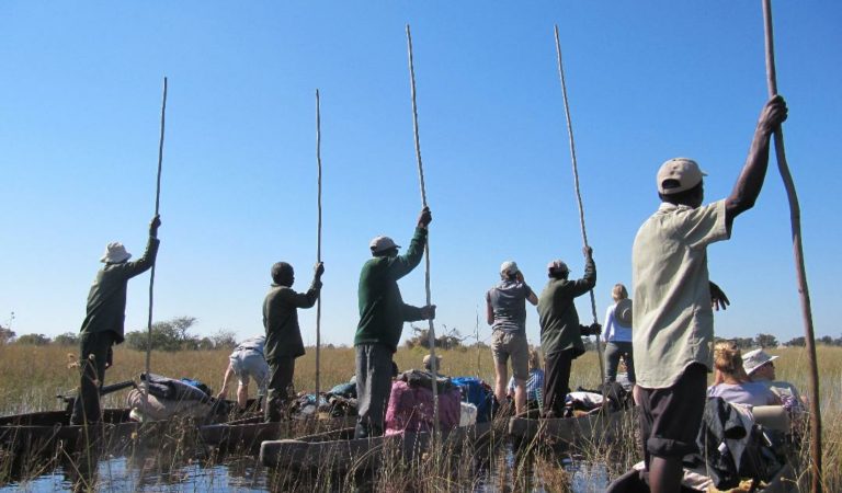 Groep mensen in kano's met stokken op een rivier in een moerasgebied