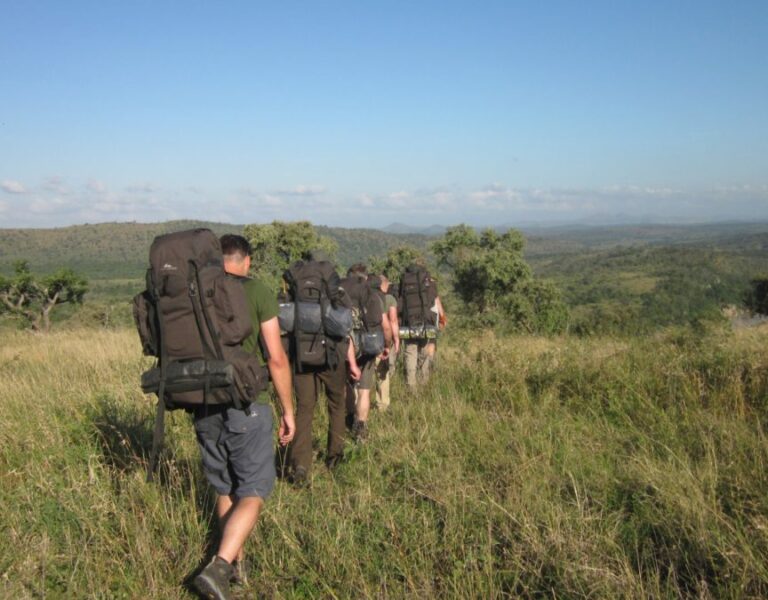 Trail groep met grote rugzakken wandelen in een uitgestrekt groen landschap