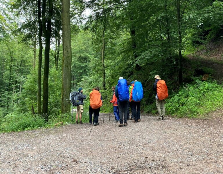 Groep wandelaars met regenhoezen op rugzakken in een groen bos