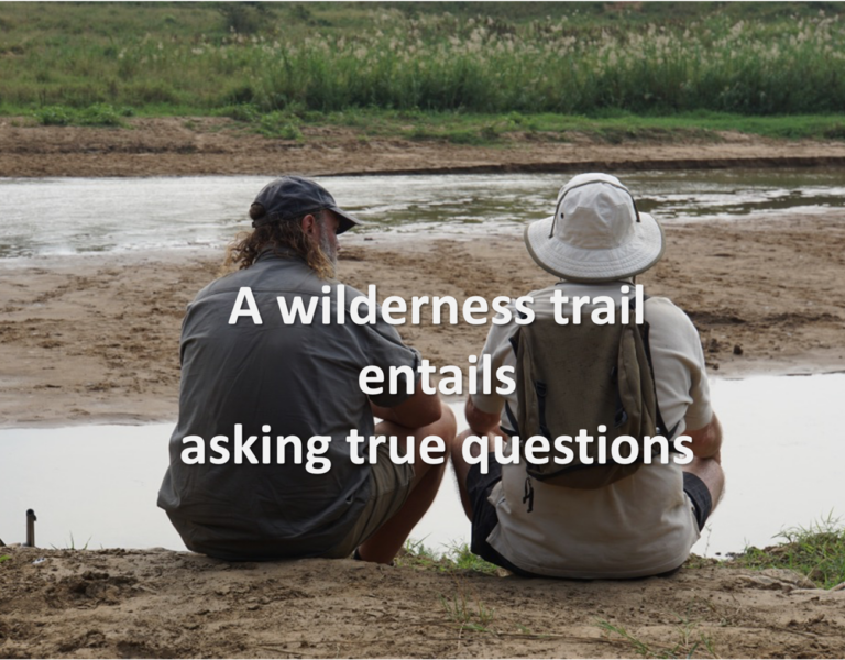 A wilderness trail entails asking true questions
