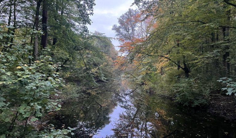 Herfst Seizoens wandeling