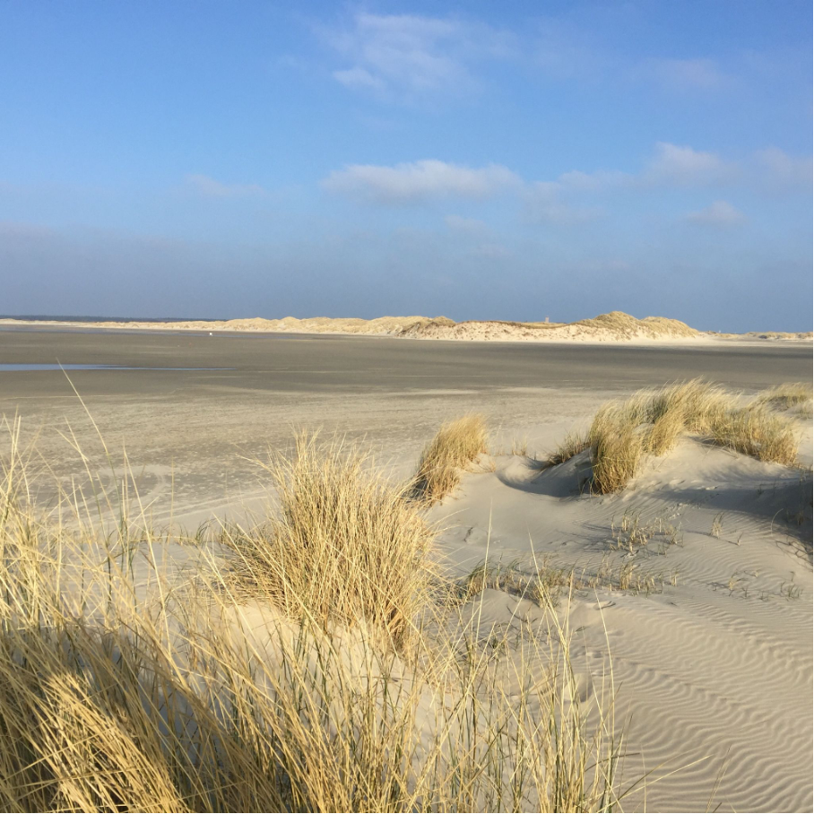 Seren landschap in de wildernis met een rustige rivier omringd door weelderig groen, dat rust en verbondenheid met de natuur symboliseert.