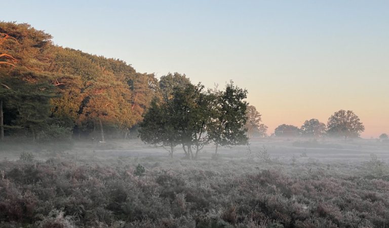 FNL Winter Walk Meijendel (Wassenaar)