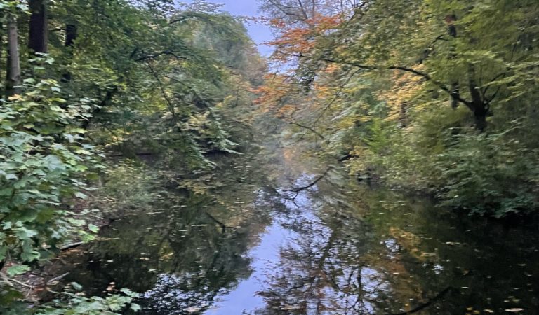 Autumn Seasonal Walk Amsterdamse Bos