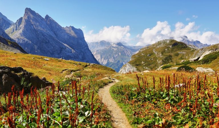 Wilderness Trail French Alps